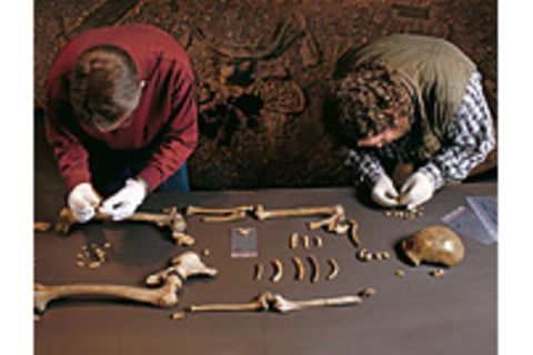 Neandertaler: Leseprobe: Jäger des verlorenen Schatzes