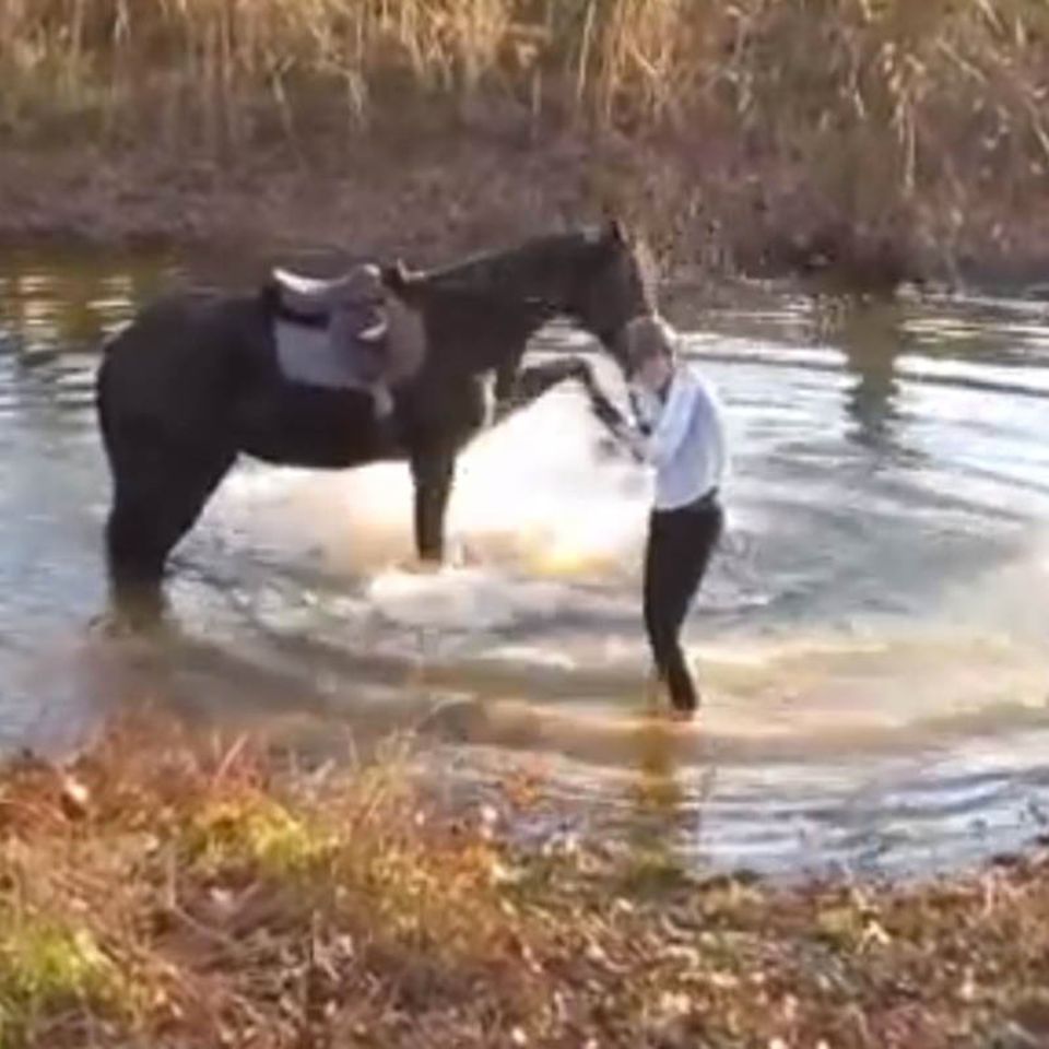 Video: Wenn ein Pferd entdeckt, dass Planschen Spaß macht