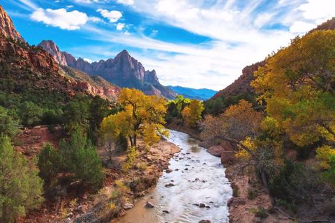 Video: In bester Nachbarschaft: Der Zion National Park