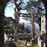 Fotogalerie zum Cover-Wettbewerb: Portugal