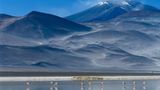 Fotogalerie zum Cover-Wettbewerb: Chile und Argentinien