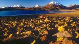 Fotogalerie zum Cover-Wettbewerb: Chile und Argentinien - Bild 2