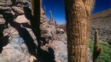 Fotogalerie zum Cover-Wettbewerb: Chile und Argentinien - Bild 4