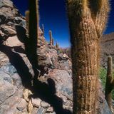 Fotogalerie zum Cover-Wettbewerb: Chile und Argentinien - Bild 4