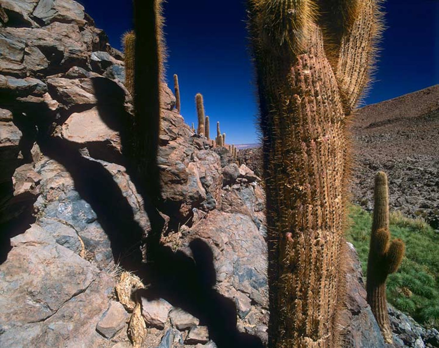 Fotogalerie zum Cover-Wettbewerb: Chile und Argentinien - Bild 4