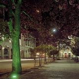 Fotogalerie zum Cover-Wettbewerb: Chile und Argentinien - Bild 6