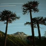 Fotogalerie zum Cover-Wettbewerb: Chile und Argentinien - Bild 10