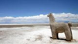 Fotogalerie zum Cover-Wettbewerb: Chile und Argentinien - Bild 15