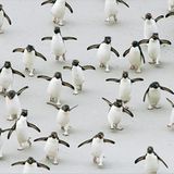 Fotoshow: Pinguine