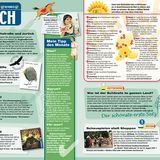 Euer Foto im Heft - Bild 7