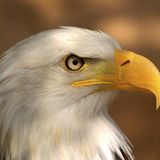 Das User-Foto des Tages - Mai 2008