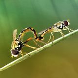 Das User-Foto des Tages - Mai 2008 - Bild 2