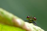 Das User-Foto des Tages - Mai 2008 - Bild 5