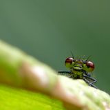 Das User-Foto des Tages - Mai 2008 - Bild 5