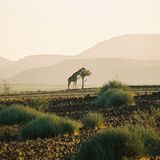 Das User-Foto des Tages - Mai 2008 - Bild 6