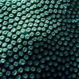 Das User-Foto des Tages - Mai 2008 - Bild 8