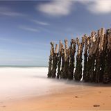 Das User-Foto des Tages - Mai 2008 - Bild 9