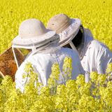 Das User-Foto des Tages - Mai 2008 - Bild 10