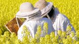 Das User-Foto des Tages - Mai 2008 - Bild 10