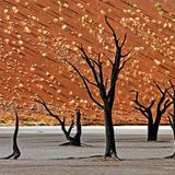 Das User-Foto des Tages - Mai 2008 - Bild 11