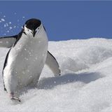 Das User-Foto des Tages - Mai 2008 - Bild 13