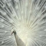 Das User-Foto des Tages - Mai 2008 - Bild 15