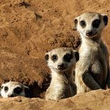 Das User-Foto des Tages - Mai 2008 - Bild 16