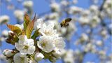 Das User-Foto des Tages - Mai 2008 - Bild 17