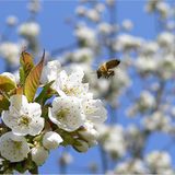 Das User-Foto des Tages - Mai 2008 - Bild 17