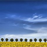 Das User-Foto des Tages - Mai 2008 - Bild 19