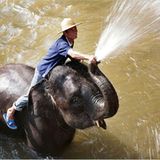 Das User-Foto des Tages - Mai 2008 - Bild 20