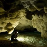 Fotogalerie: Höhlen - Forschung für die Medizin