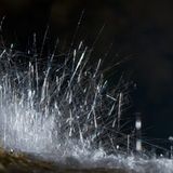 Fotogalerie: Höhlen - Forschung für die Medizin - Bild 9