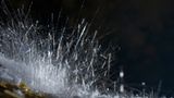 Fotogalerie: Höhlen - Forschung für die Medizin - Bild 9