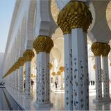 Leserfoto des Tages - März 2010 - Bild 15