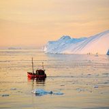 Leserfoto des Tages - März 2010 - Bild 18