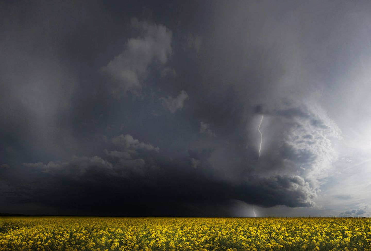 Leserfoto des Tages - März 2010 - Bild 19