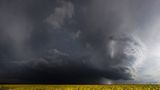 Leserfoto des Tages - März 2010 - Bild 19