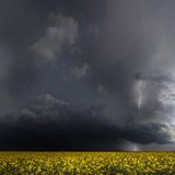 Leserfoto des Tages - März 2010 - Bild 19