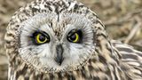 Leserfoto des Tages - März 2010 - Bild 20