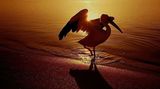 Leserfoto des Tages - März 2010 - Bild 22