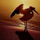 Leserfoto des Tages - März 2010 - Bild 22