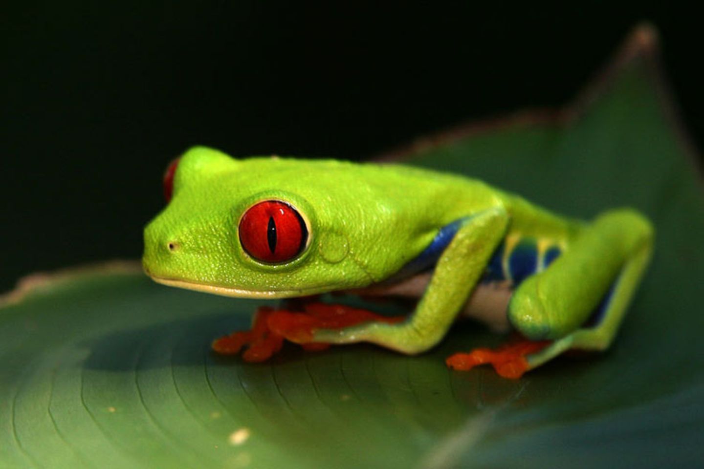 Leserfoto des Tages - März 2010 - Bild 23