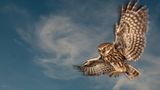 GDT Naturfotograf des Jahres