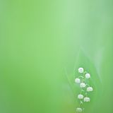 GDT Naturfotograf des Jahres