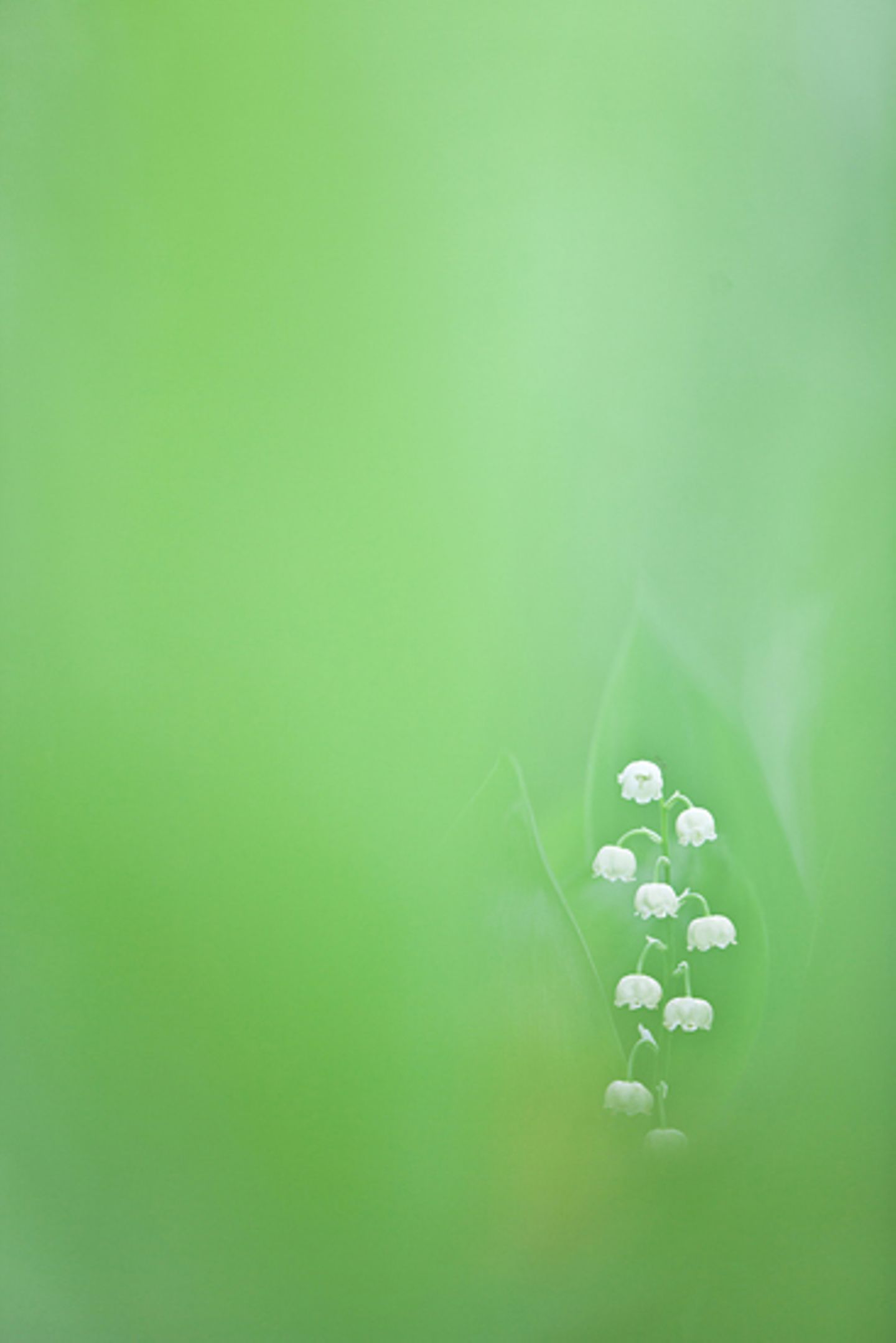GDT Naturfotograf des Jahres