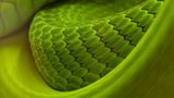 GDT Naturfotograf des Jahres