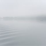 GDT Naturfotograf des Jahres