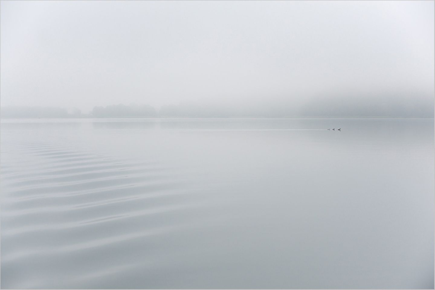 GDT Naturfotograf des Jahres