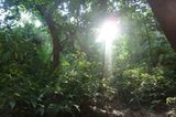 Jarlath (Matobo Hills): Jarlath (Matobo Hills) - Bild 9